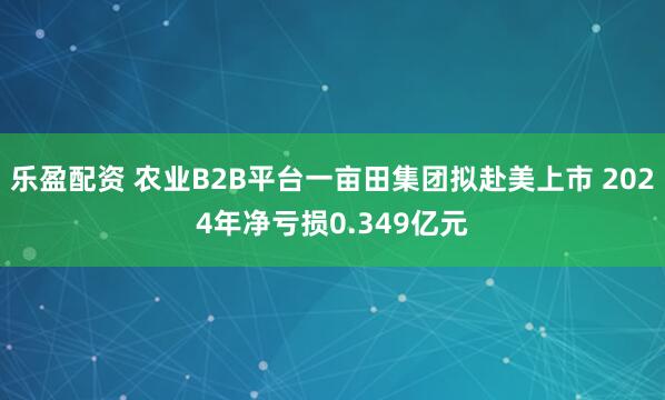乐盈配资 农业B2B平台一亩田集团拟赴美上市 2024年净亏损0.349亿元