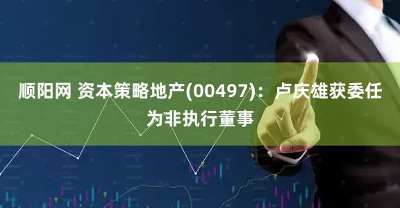 顺阳网 资本策略地产(00497)：卢庆雄获委任为非执行董事