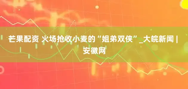 芒果配资 火场抢收小麦的“姐弟双侠”_大皖新闻 | 安徽网