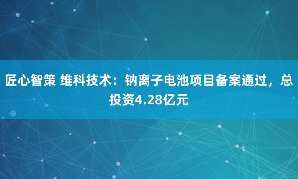 匠心智策 维科技术：钠离子电池项目备案通过，总投资4.28亿元
