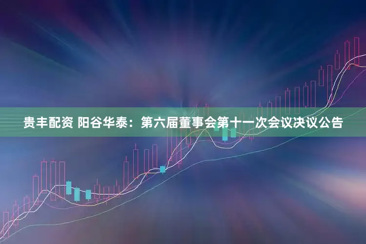 贵丰配资 阳谷华泰：第六届董事会第十一次会议决议公告