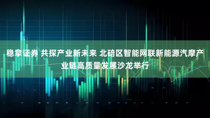 稳拿证券 共探产业新未来 北碚区智能网联新能源汽摩产业链高质量发展沙龙举行