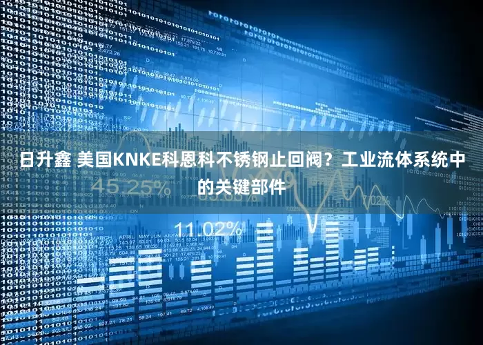 日升鑫 美国KNKE科恩科不锈钢止回阀？工业流体系统中的关键部件