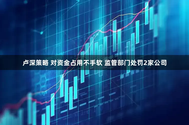 卢深策略 对资金占用不手软 监管部门处罚2家公司